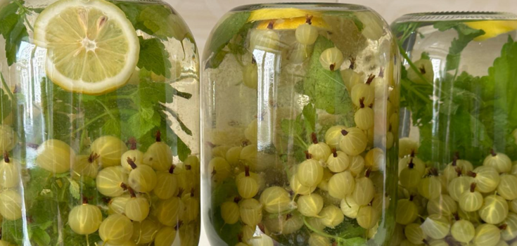 How to make gooseberry Mojito compote for winter with lemon and mint
