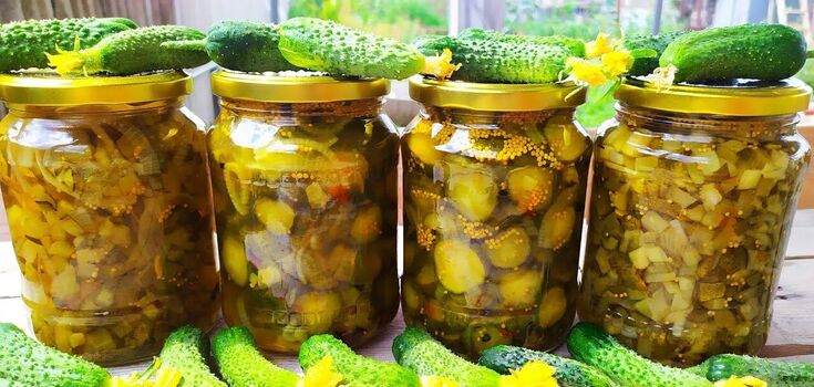 Pickles like in McDonald's: for burgers, salads and sandwiches