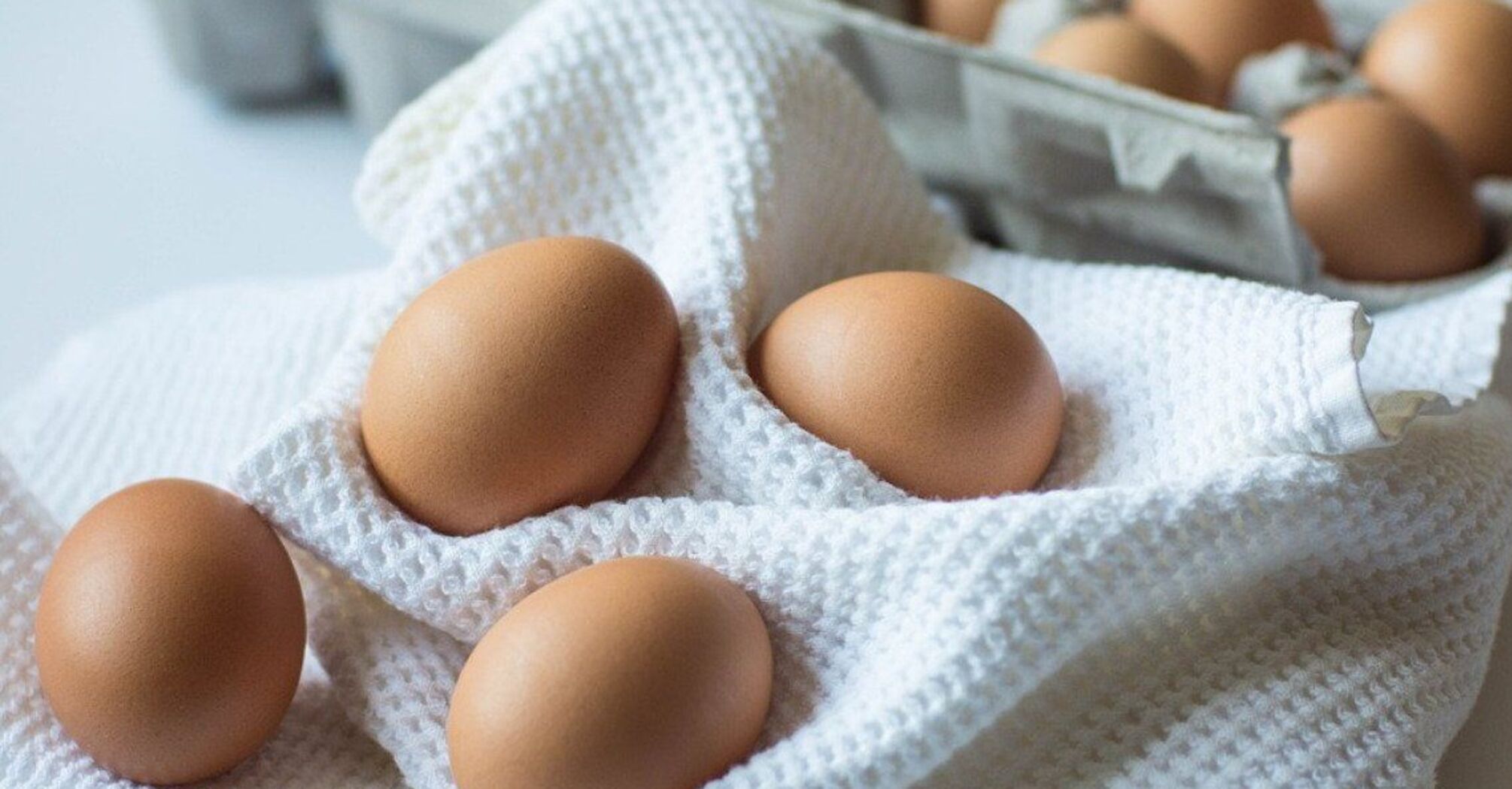 Chicken eggs