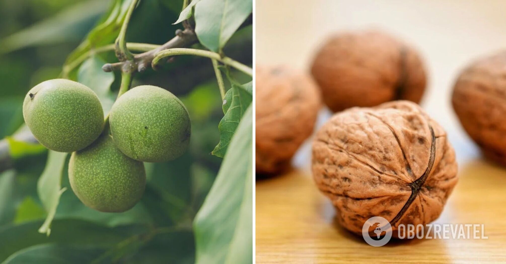 How to wash your hands after nuts: the most effective remedies