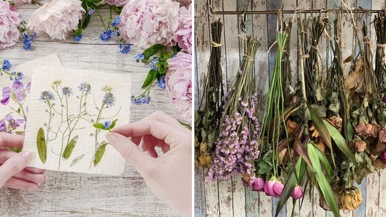 How best to dry flowers: simple ways to preserve color