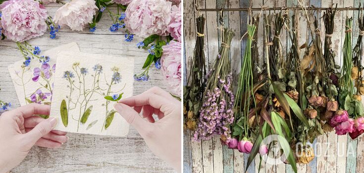 How best to dry flowers: simple ways to preserve color