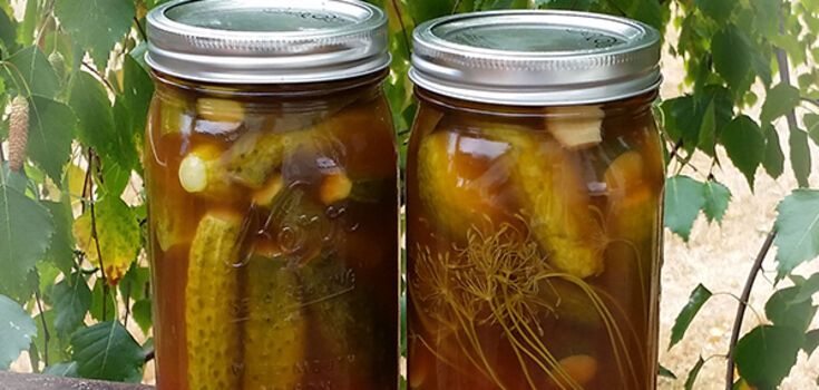 Crispy cucumbers with ketchup for the winter: how to prepare a popular appetizer