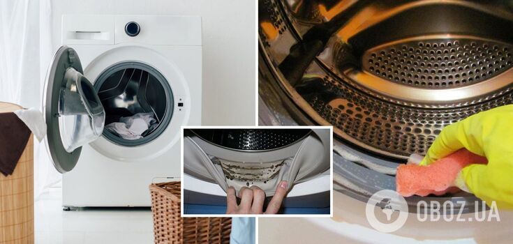 How to get rid of mold in the washing machine: a cheap way