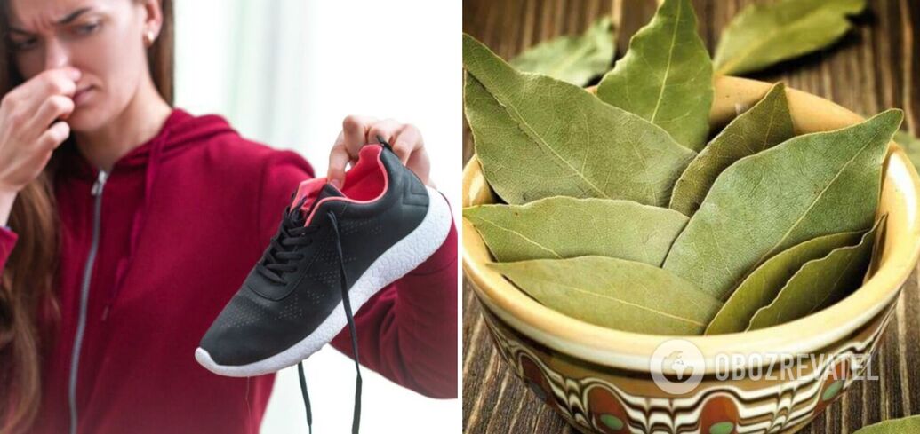 Why put bay leaves in shoes: what's the secret of the lifehack