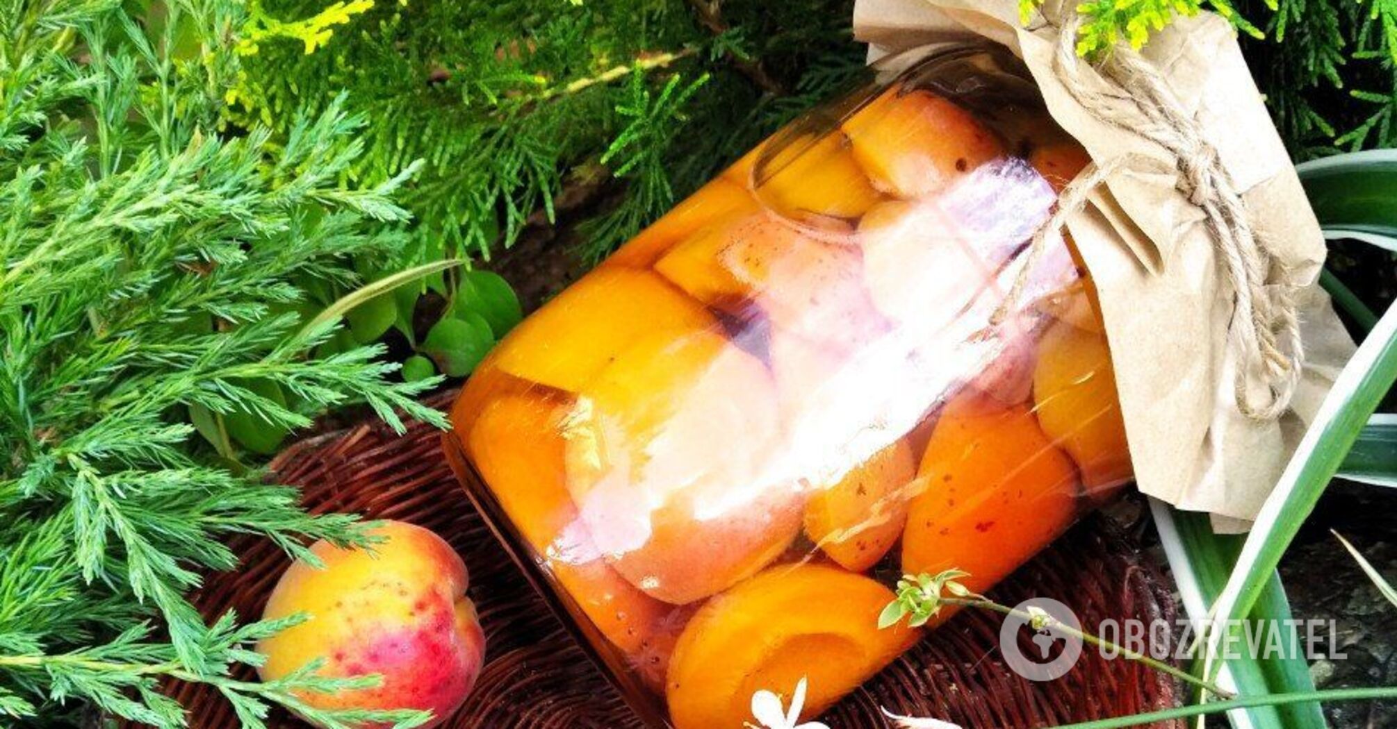 Apricots in syrup recipe