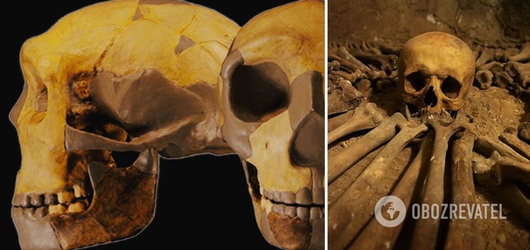 Skull of a previously unknown human species found: what makes it special
