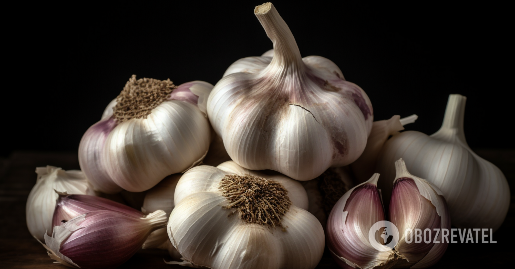 What to do to keep garlic until next summer: storage rules