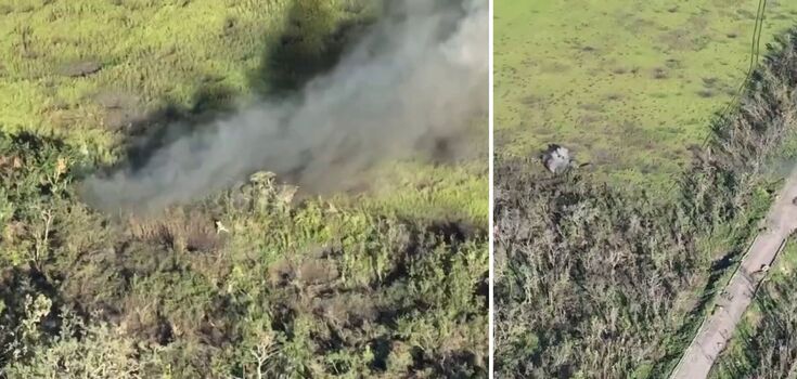 "Simpsonowie" znów pomyśleli o wszystkim: znaleziono szczątki trójokiego stworzenia morskiego, które żyło 520 milionów lat temu