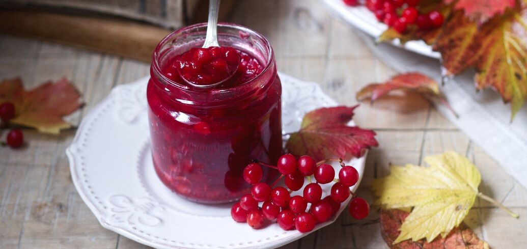 How to make a useful jam from Viburnum: you do not have to cook it