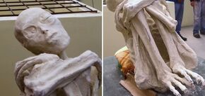 What's wrong with the alien bodies shown in Mexico: the world has already seen 5 alien mummies in 2018, and here's what came out of it