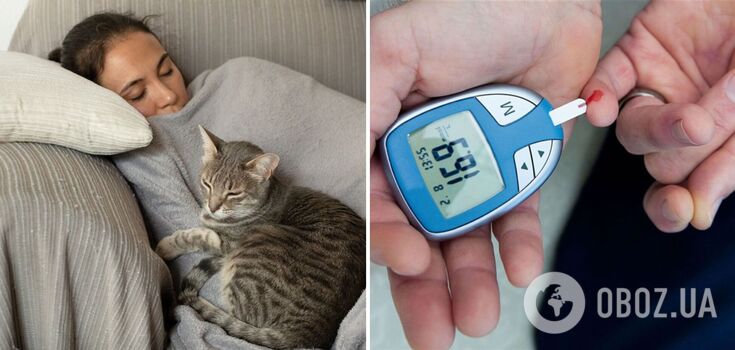 People who go to bed late have an increased risk of diabetes: American scientists explain why
