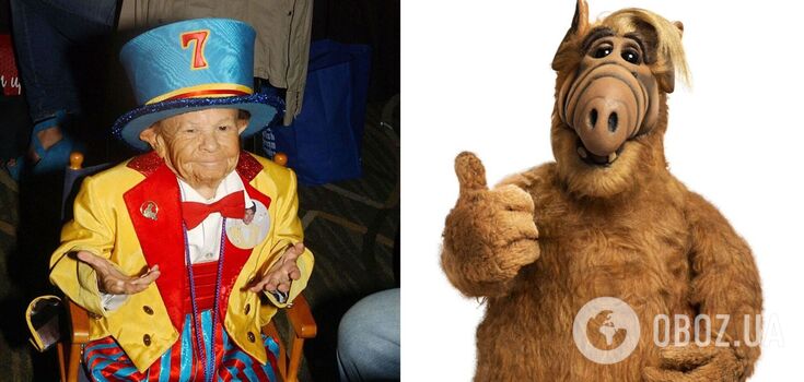 Who played the alien "Alf" and how the 83 cm tall actor became famous all over the world. Photo.