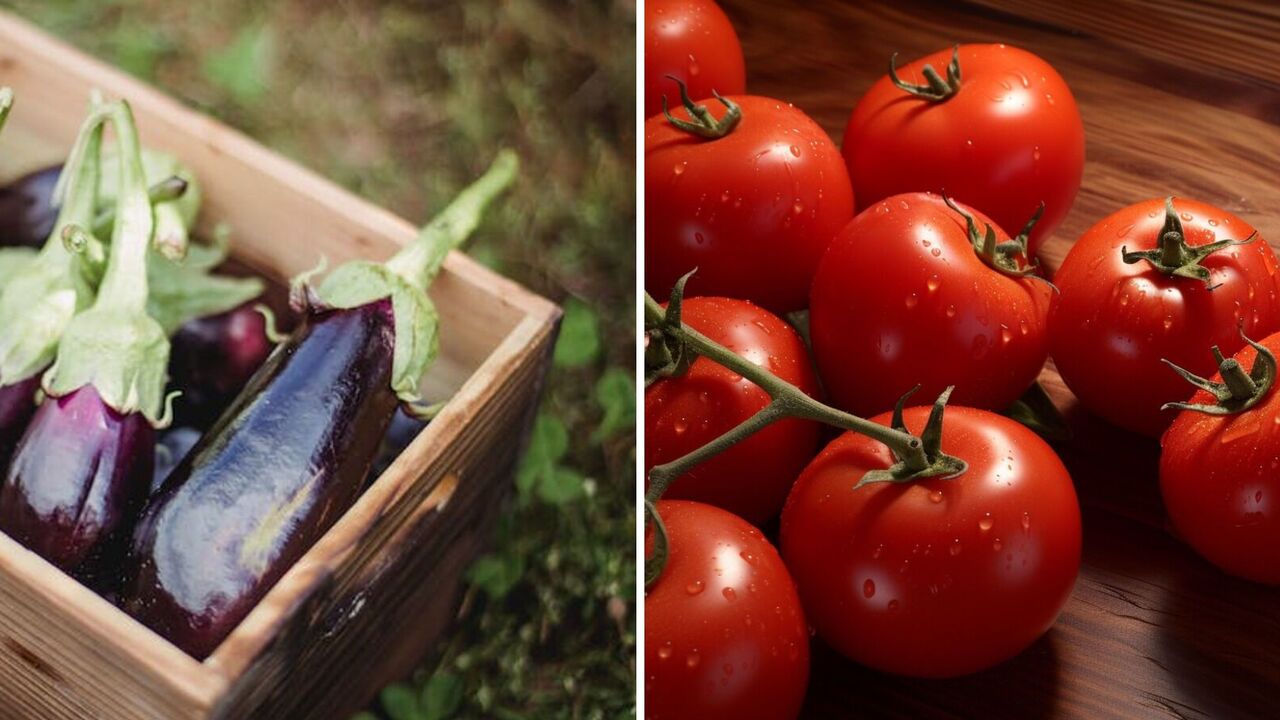 Pluck and put: which vegetables can ripen even without a stem