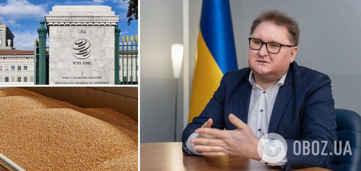 Ukraine will start legal proceedings with Poland, Hungary and Slovakia