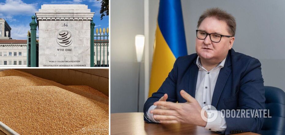 Ukraine will start legal proceedings with Poland, Hungary and Slovakia