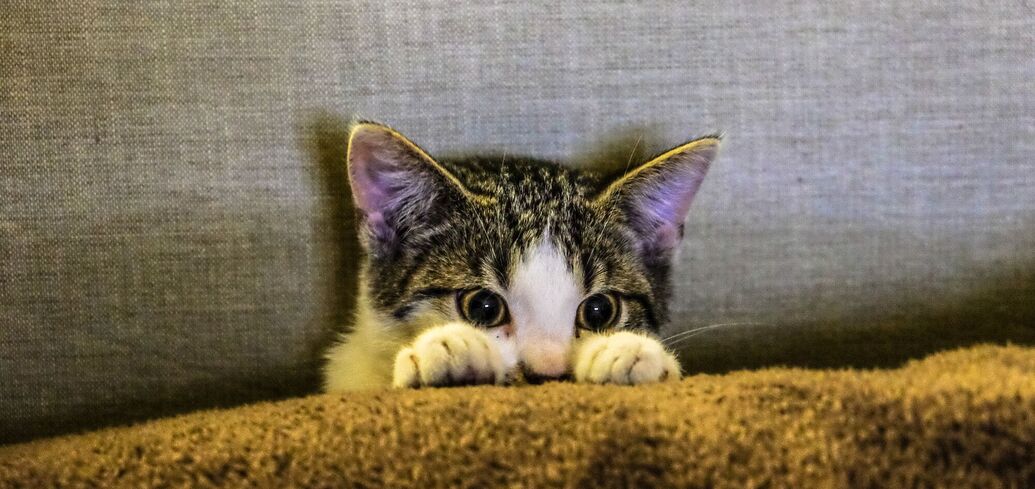 Як вивести неприємний запах з взуття