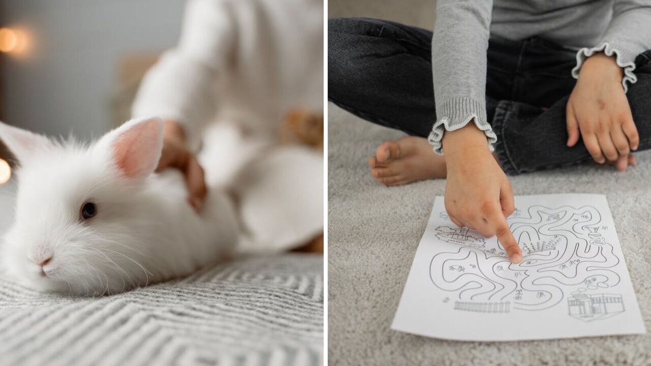 Only the most attentive will find the rabbit: a difficult puzzle