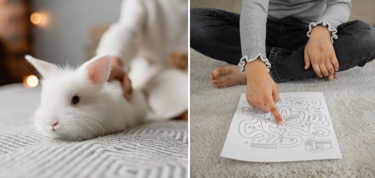 Only the most attentive will find the rabbit: a difficult puzzle