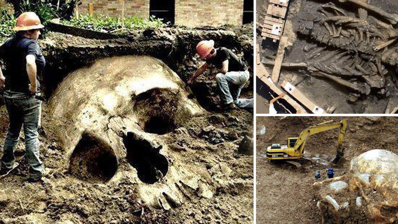 Could giant humans exist on Earth: one law of mathematics explains everything