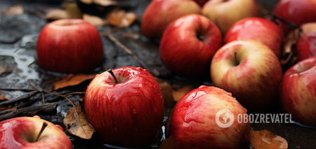 Do not throw away: what to do with fallen and rotten apples