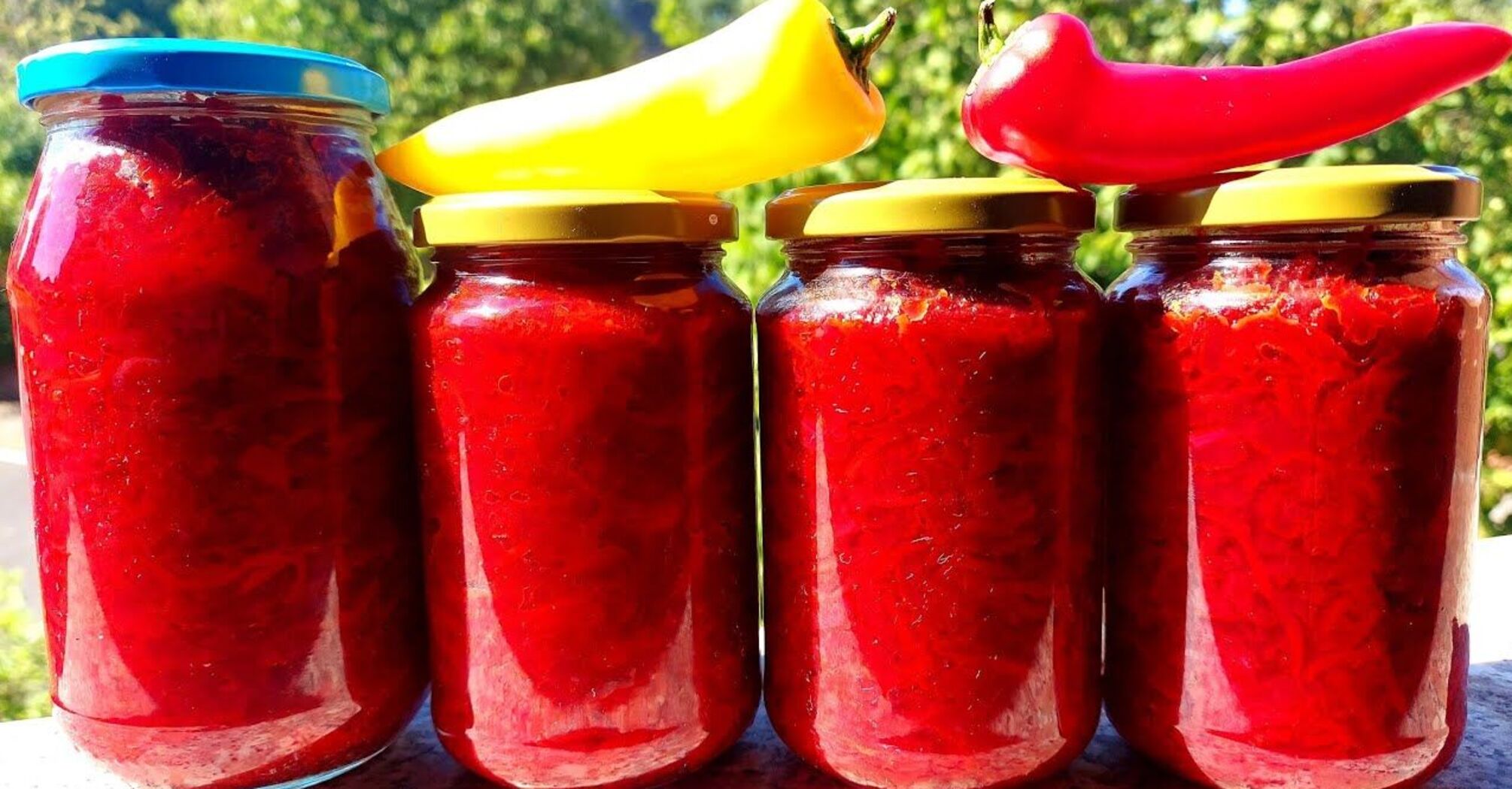 How to prepare beet borscht dressing for winter