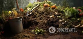 How to make a compost pit: important points