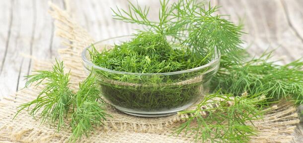 How to store dill to keep the greens fresh for 2 weeks