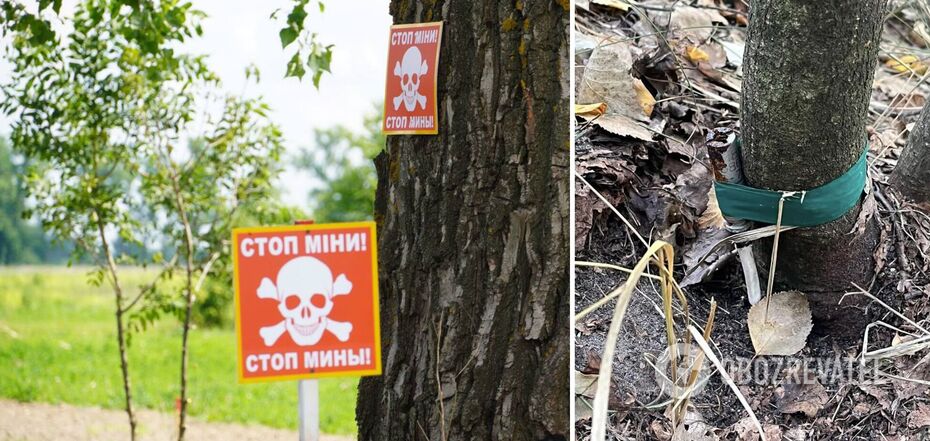 Sappers examined the find of the man