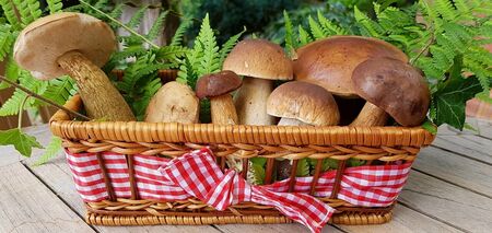 How to cook mushrooms properly so that they never turn black