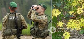 Straż graniczna w obwodzie charkowskim zestrzeliła wrogiego drona z materiałami wybuchowymi: czwarty w ciągu tygodnia