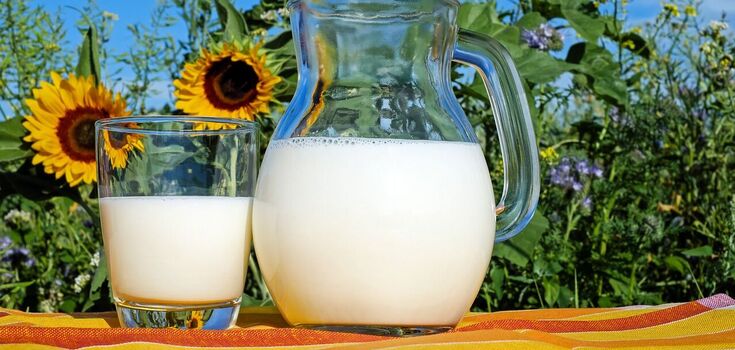 What not to eat with milk: here are the reasons