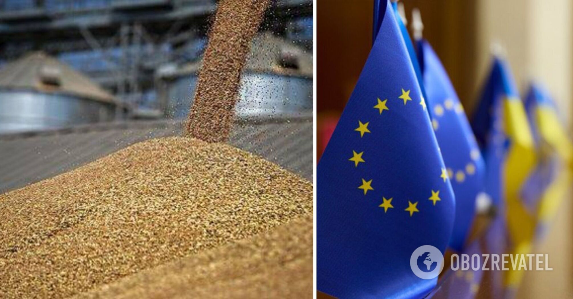The WTO will soon begin to consider the case on grain from Ukraine