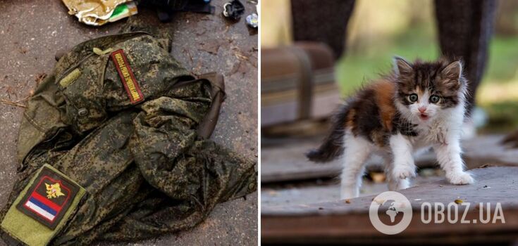 Instead of Lada, dumplings or fish: mother of the liquidated occupier in Ukraine received a kitten. Video