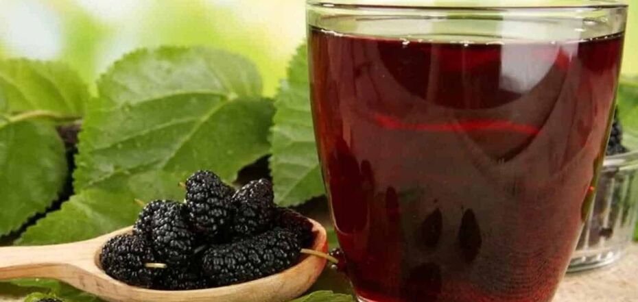 Delicious homemade wine from mulberries that is prepared without alcohol