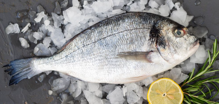 Which fish is the healthiest: you should eat it more often