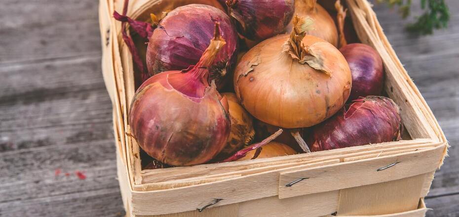 How and where to store onions