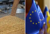 Poland, Hungary, Slovakia insist on prolongation of grain ban in Ukraine