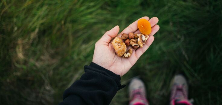 Top 5 snacks that won't make you want to eat: light options