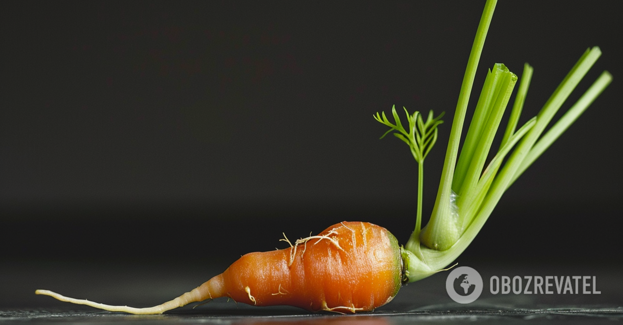 Do not throw them away: what to do with sprouted vegetables