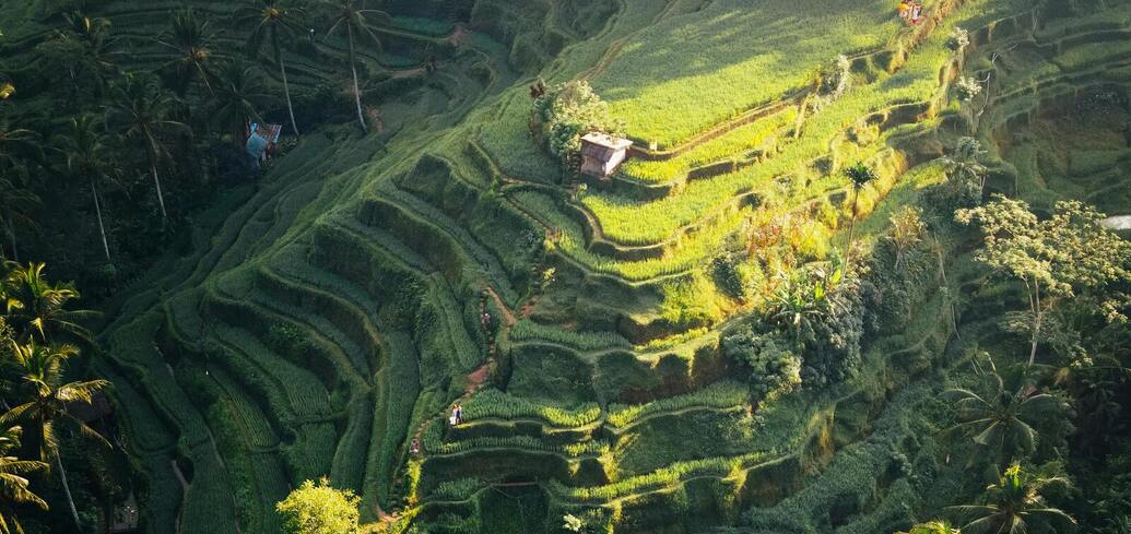 Отдых на Шри-Ланке или Бали