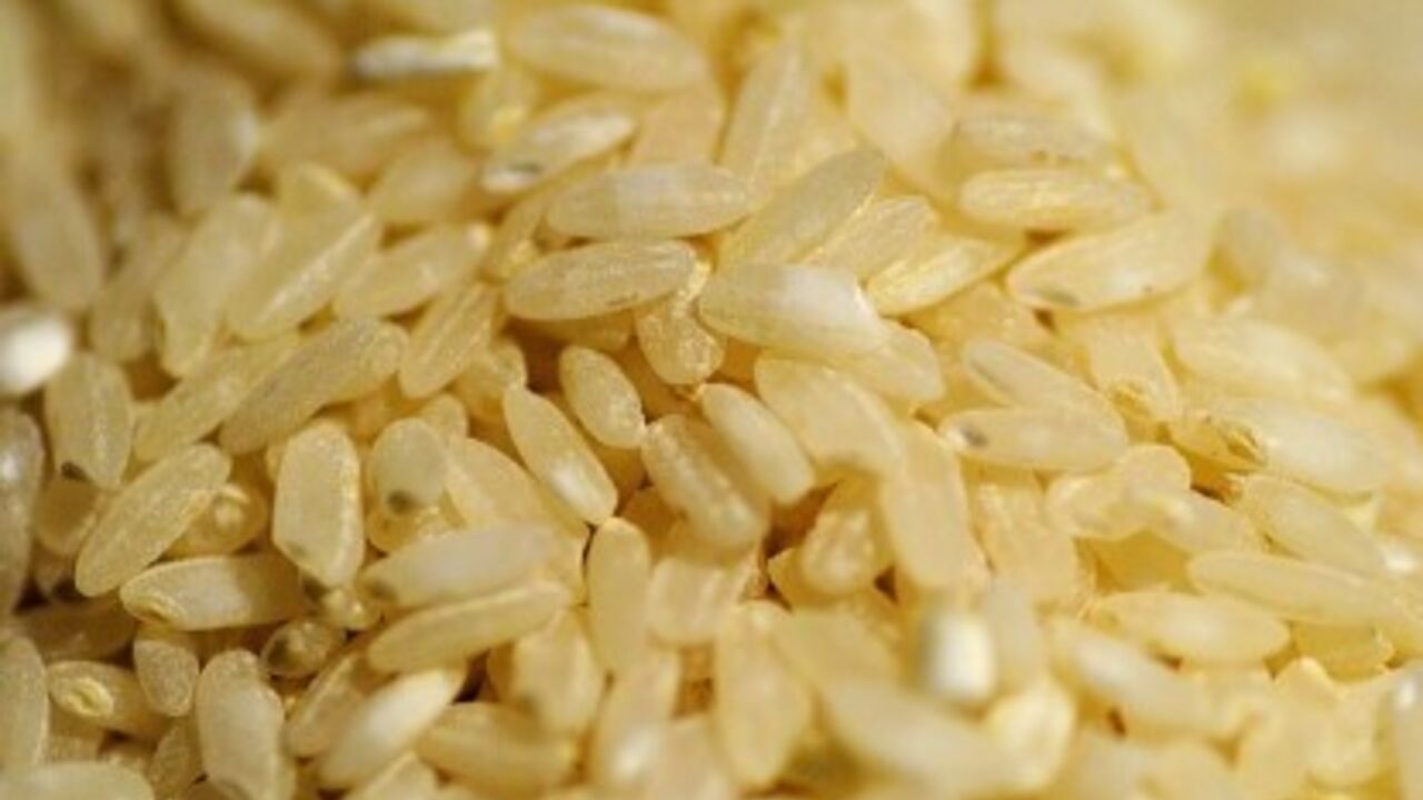 Білий чи коричневий: який рис корисніший для організму