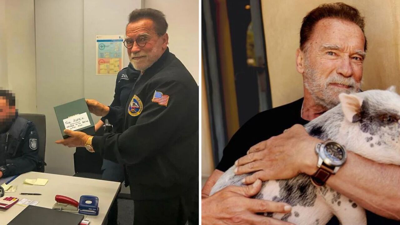 Arnold Schwarzenegger reacted to the incident at Munich airport and a fine of 35 thousand euros with a strange photo with a pig