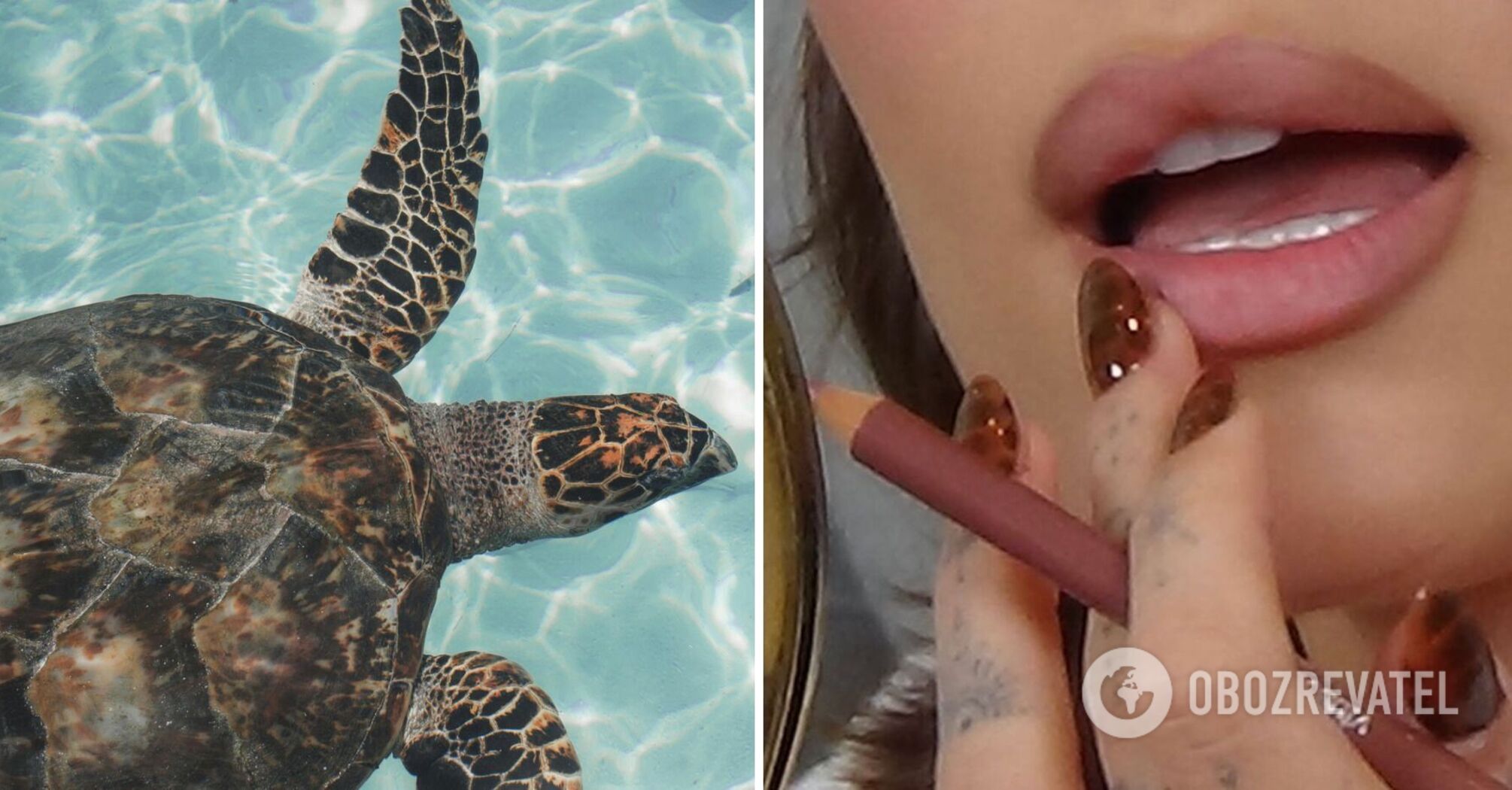 Turtle nails are back in fashion: 5 manicure designs that everyone will love