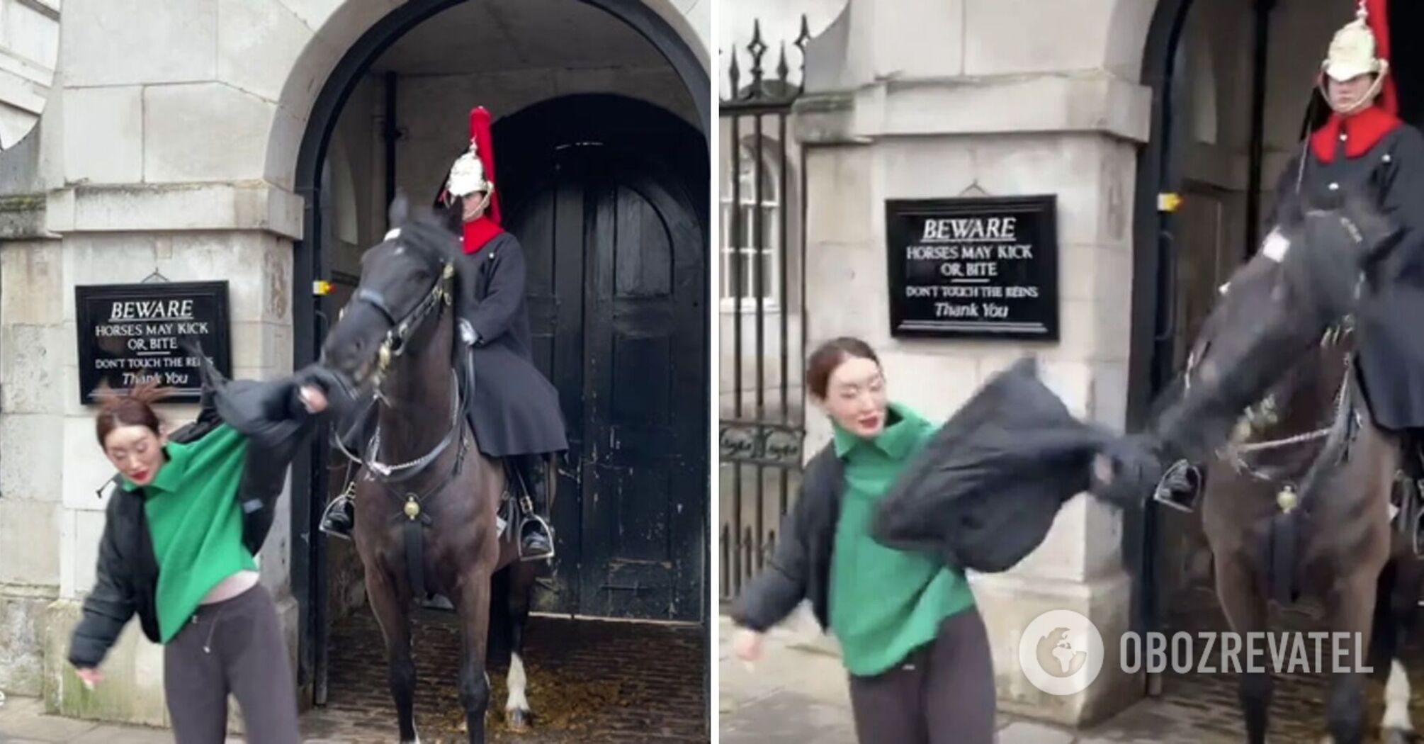 In London, a horse of the Royal Guard bit and tore off a tourist's coat as she posed for a photo in front of a symbolic sign