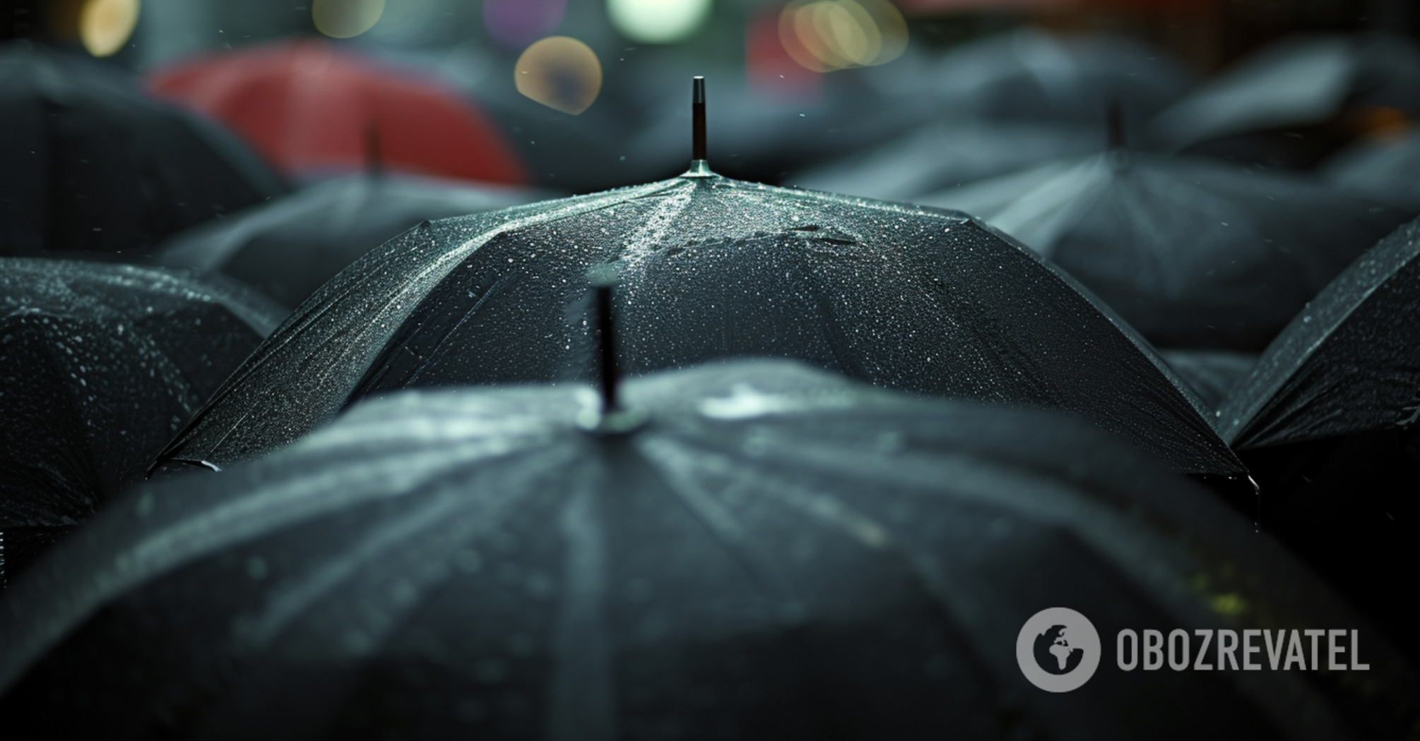 A simple way to test your IQ: find the umbrella