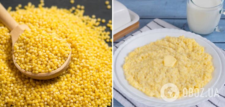 How to cook delicious millet porridge with milk: recipe