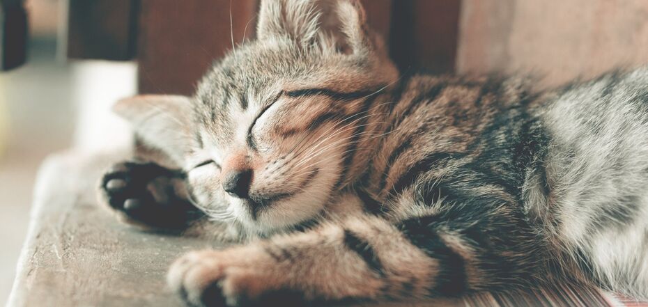 Народні прикмети та повір'я