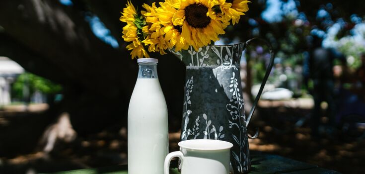 Guslyanka is an ancient universal drink of real molfars. An incredibly tasty and healthy recipe