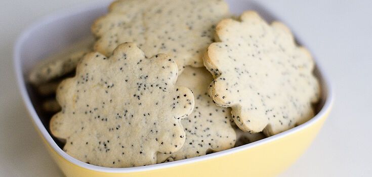 Basic homemade poppy seed cookies: it takes 15 minutes to bake